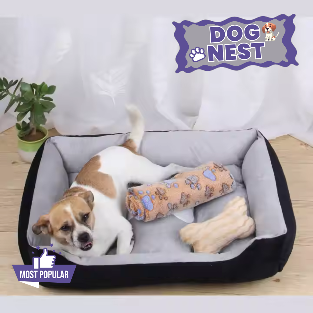 Dog Nest