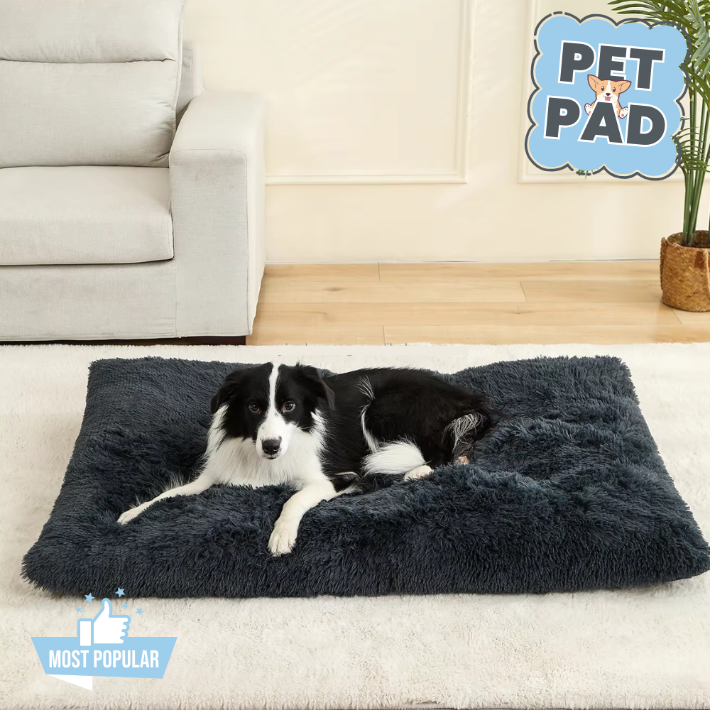 Pet Pad