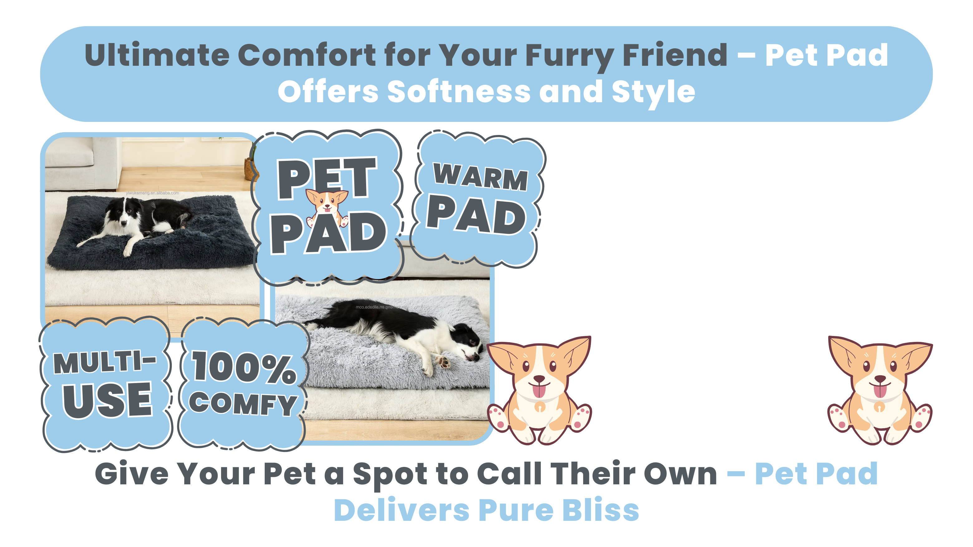 Pet Pad