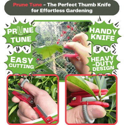 Prune Tune