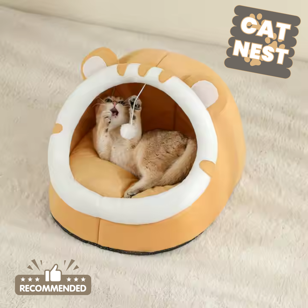 Cat Nest