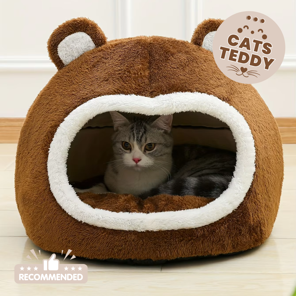 Cats Teddy